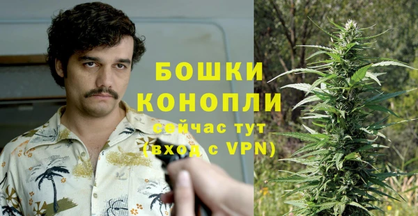 ешки Белокуриха