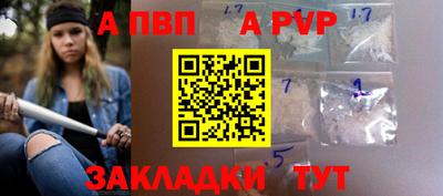 спайс Кингисепп