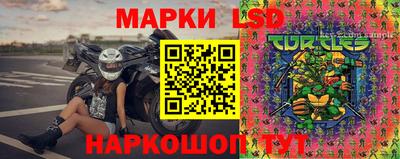 спайс Кингисепп