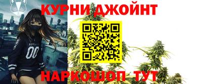 спайс Кингисепп