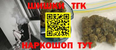 спайс Кингисепп