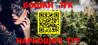 спайс Кингисепп