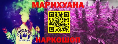 спайс Кингисепп