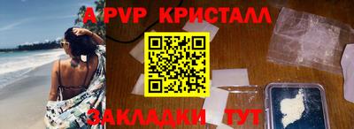 спайс Кингисепп