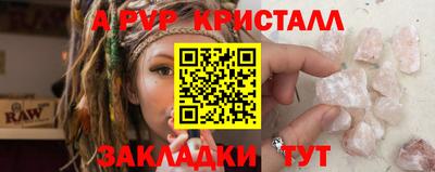спайс Кингисепп