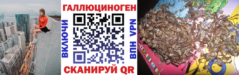 Галлюциногенные грибы Magic Shrooms  купить наркотики сайты  Воскресенск 