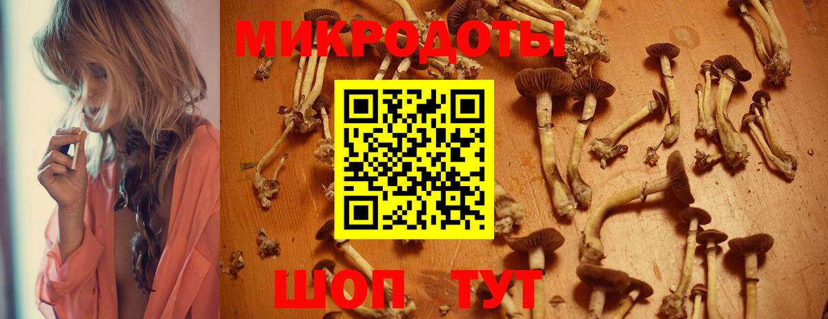 Псилоцибиновые грибы мухоморы Воскресенск